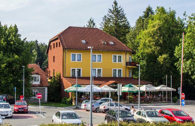 Hotel Risnjak Делнице Екстериор снимка